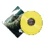 BEYONCE Lemonade 2LP YELLOW