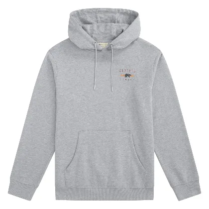 Bluza z kapturem z nadrukiem Alberta - Grey