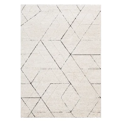 Dywan Nowoczesny Elio Trails 200X290 Cm