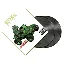 GORILLAZ Gorillaz 2LP