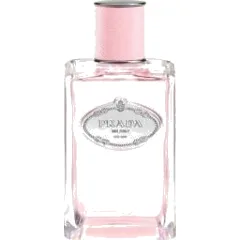 Prada Infusion de Rose EDP 100 ml