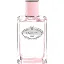 Prada Infusion de Rose EDP 100 ml