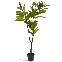 Roślina sztuczna SPINDEL W120cm zielony/biały magnolia