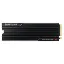 Samsung 9100 Pro 1TB PCIe 5.0 x4 NVMe 2.0 Radiator